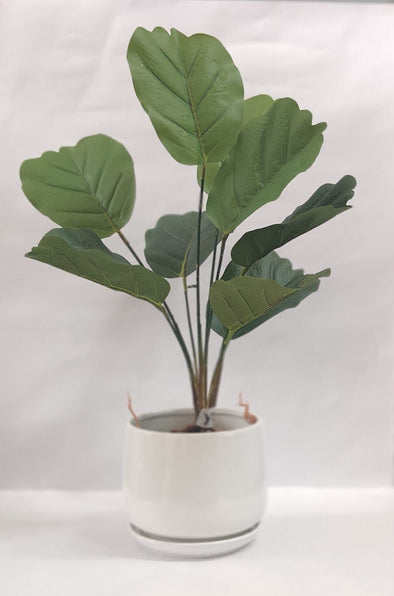 Accents Artificial Plant Y2A (50cm)
