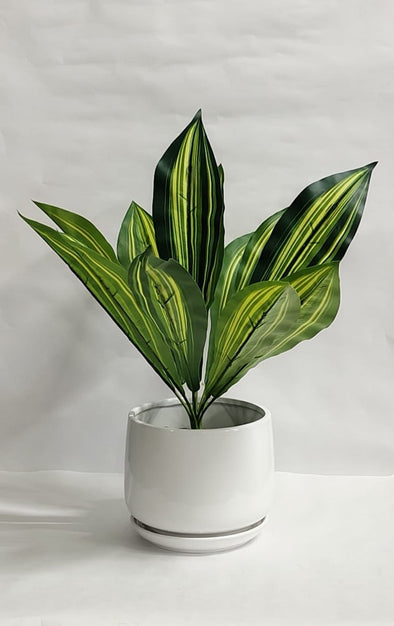 Accents Artificial Plant Y13C (48CM)