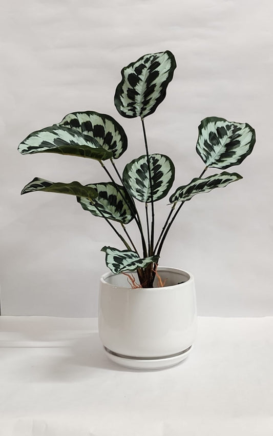 Accents Artificial Plant Y4A (50cm)