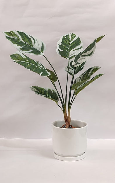 Accents Artificial Plant Y3B (50cm)