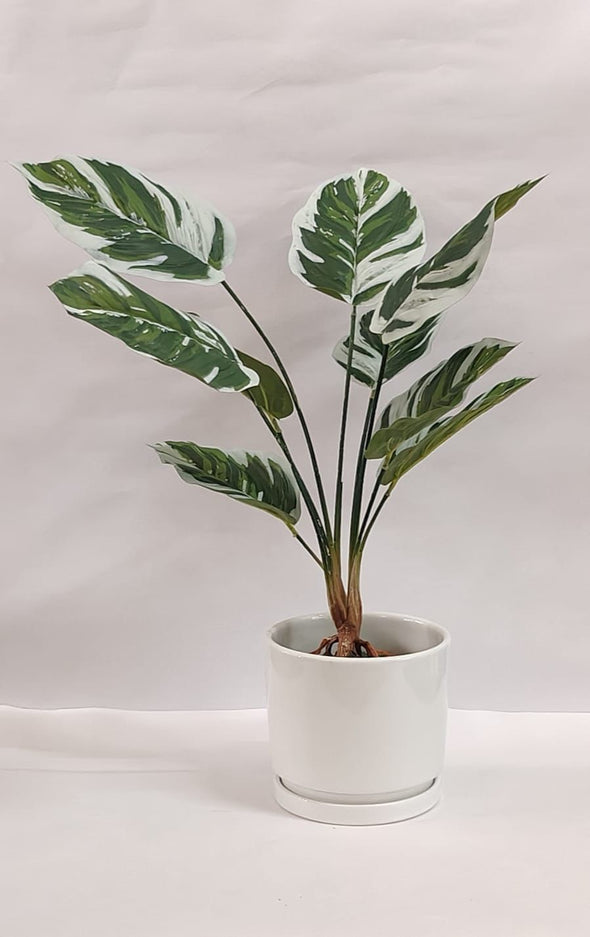 Accents Artificial Plant Y3B (50cm)