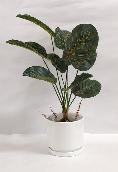 Accents Artificial Plant Y7B (50CM)