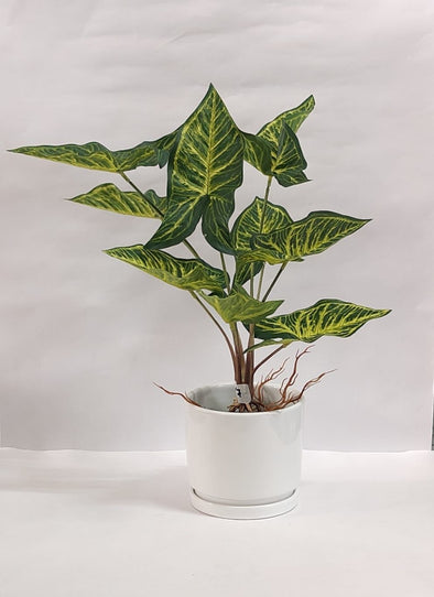 Accents Artificial Plant Y7C (50CM)