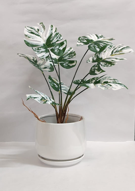 Accents Artificial Plant Y7A (50CM)