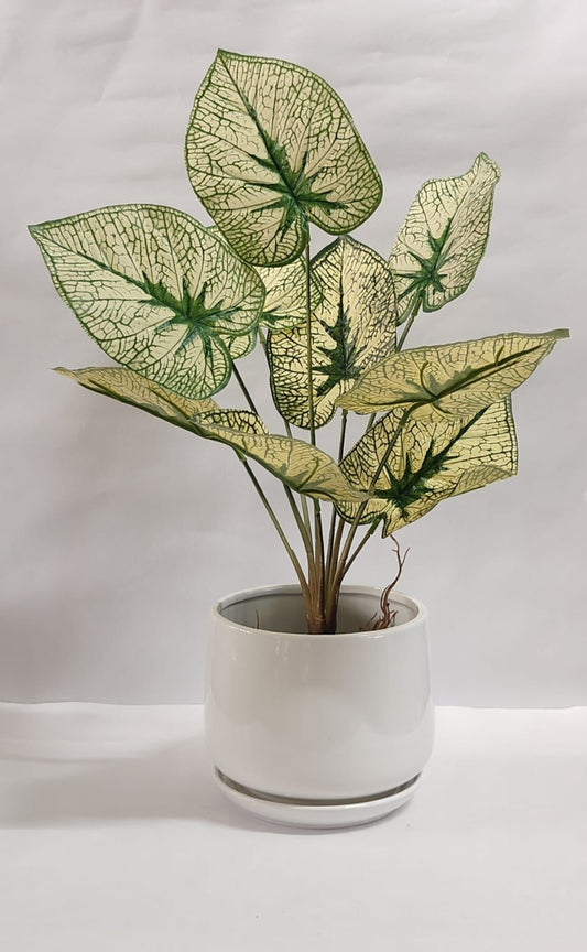 Accents Artificial Plant Y1C (50cm)