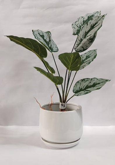 Accents Artificial Plant Y6C (50CM)