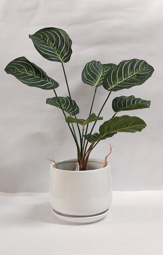 Accents Artificial Plant Y6A (50 CM)