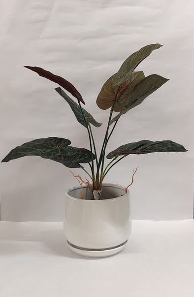 Accents Artificial Plant Y5B (50CM)