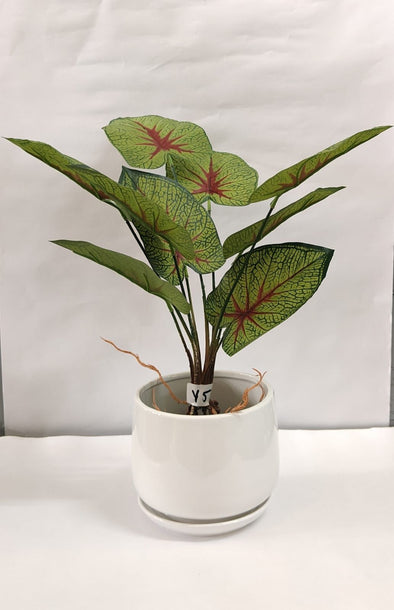 Accents Artificial Plant Y5A (50cm)