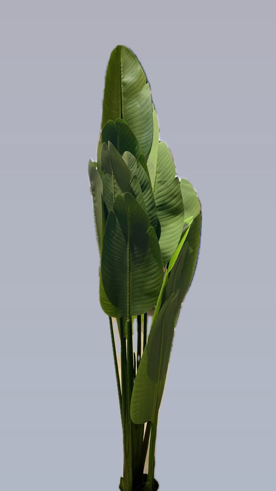 ACCENTS ARTIFICIAL PLANT-601