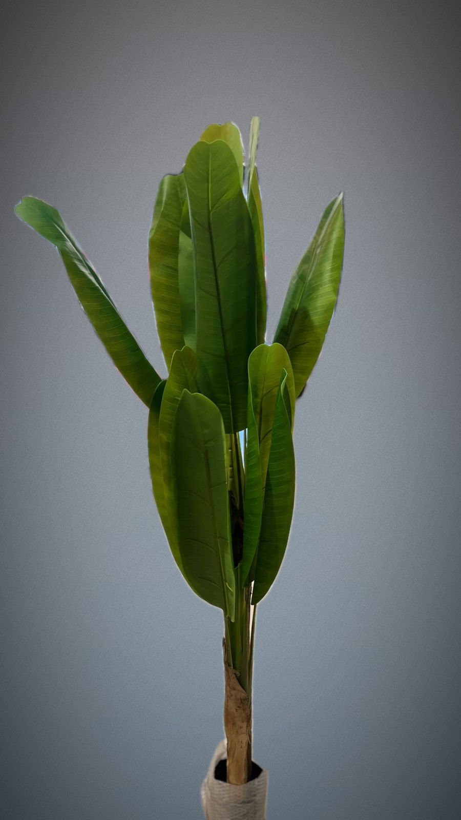 ACCENTS ARTIFICIAL PLANT-605