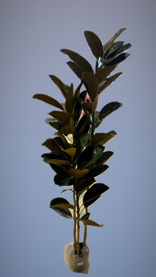 ACCENTS ARTIFICIAL PLANT-606