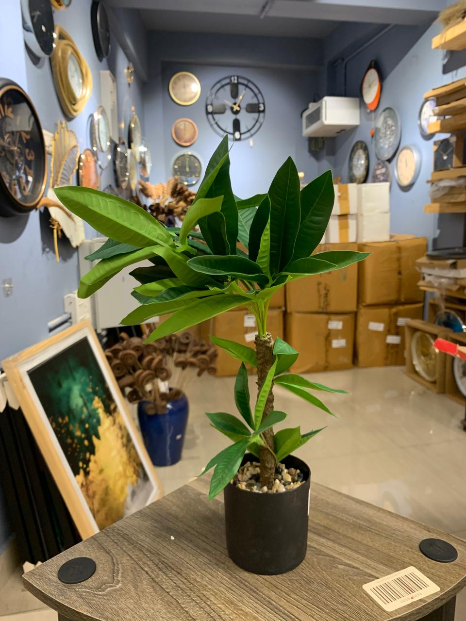 ACCENTS AR FLOWER-G0109