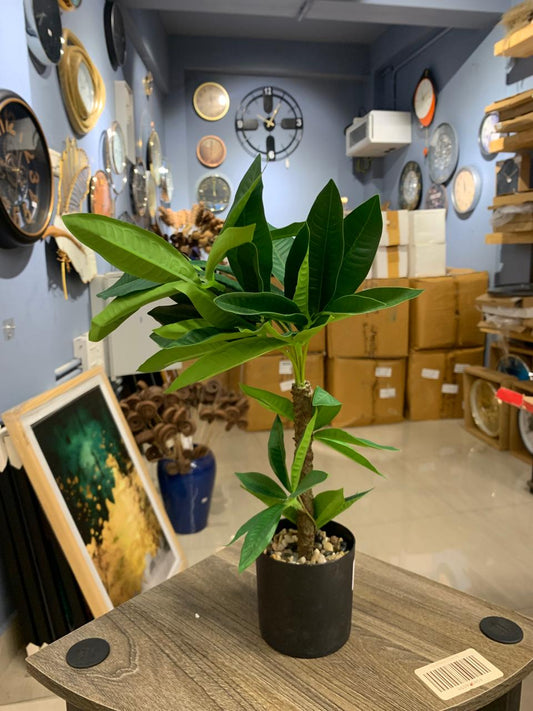 ACCENTS AR FLOWER-G0109