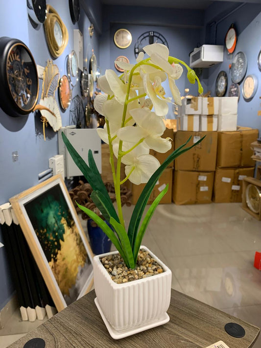 ACCENTS AR FLOWER-G0504