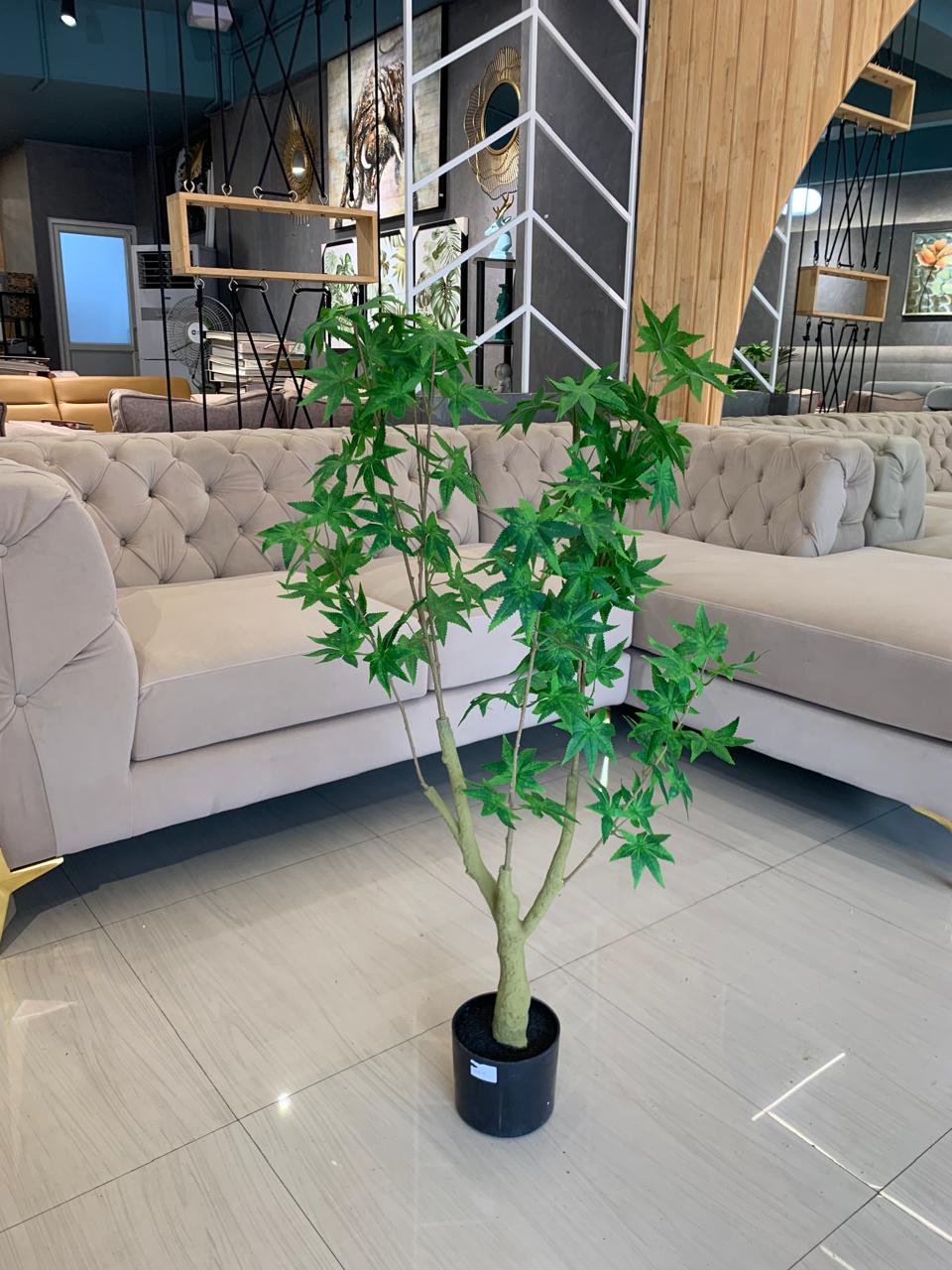 ACCENTS TREE-G0605