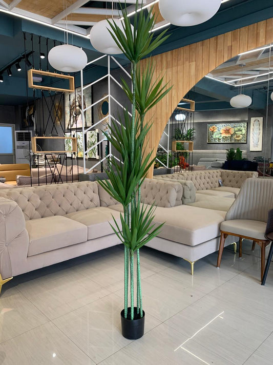 ACCENTS TREE-G0606