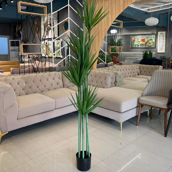ACCENTS TREE-G0606
