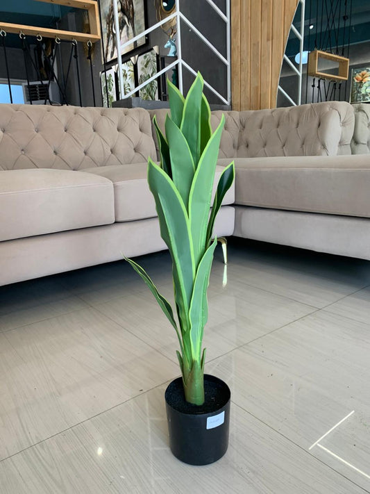 ACCENTS TREE-G0620
