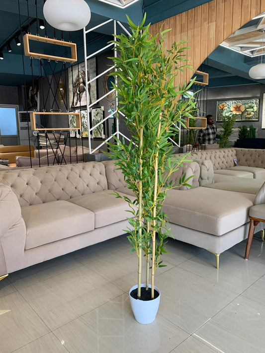 ACCENTS TREE-F0702
