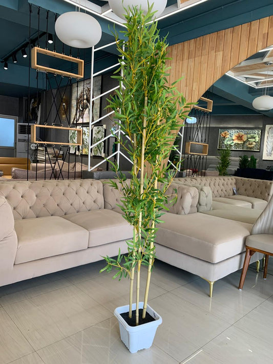 ACCENTS TREE-F0703