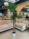 ACCENTS TREE-F1303