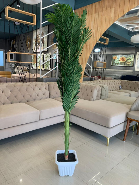 ACCENTS TREE-F1305