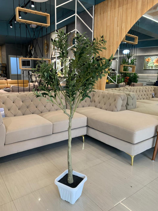 ACCENTS TREE-F1310