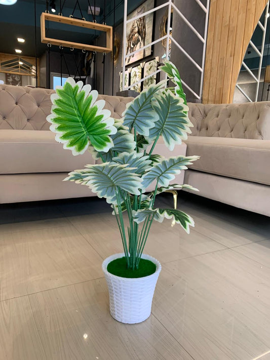 ACCENTS TREE-F0607