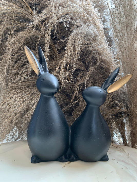 BLACK RABBIT